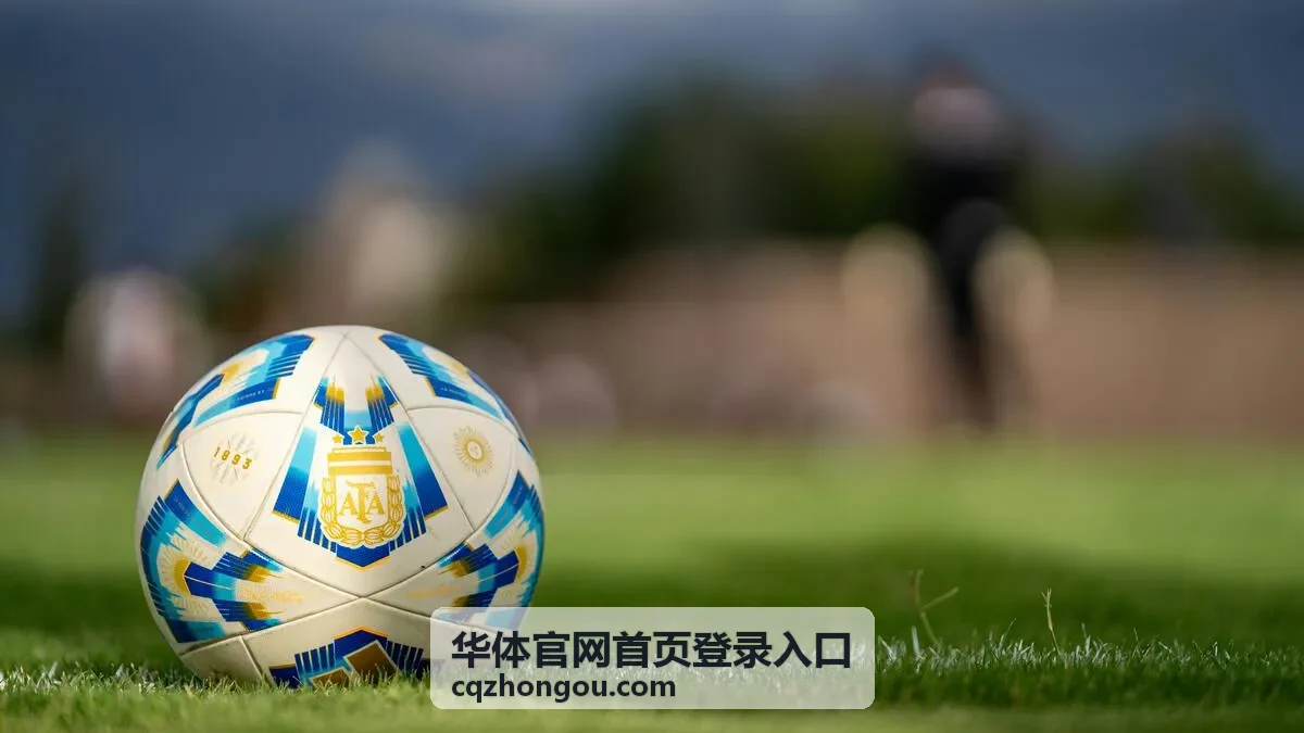 华体官网首页登录入口账号安全设置示意